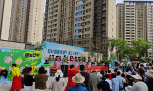 碧桂园服务西北区域五省联动庆端午迎六一 传统文化与社区温情完美交融