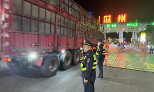 背影：从车底到长路